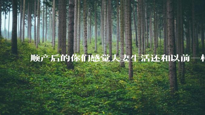 顺产后的你们感觉夫妻生活还和以前一样吗？